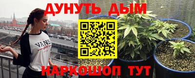 прущие крисы Дубна