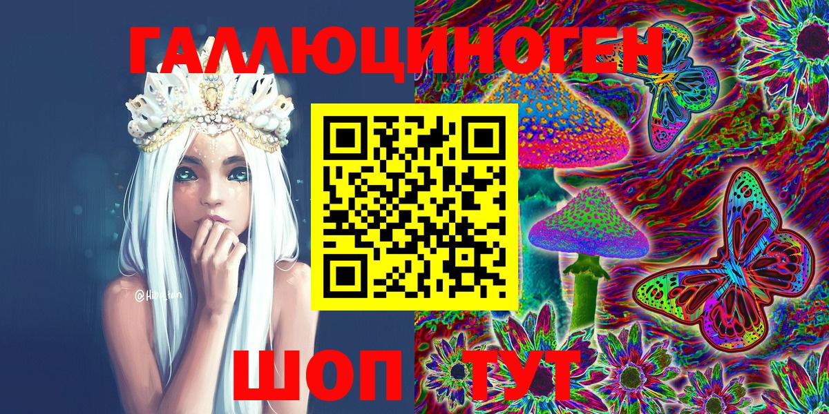 Псилоцибиновые грибы Psilocybe  Вход с VPN  Мелеуз 